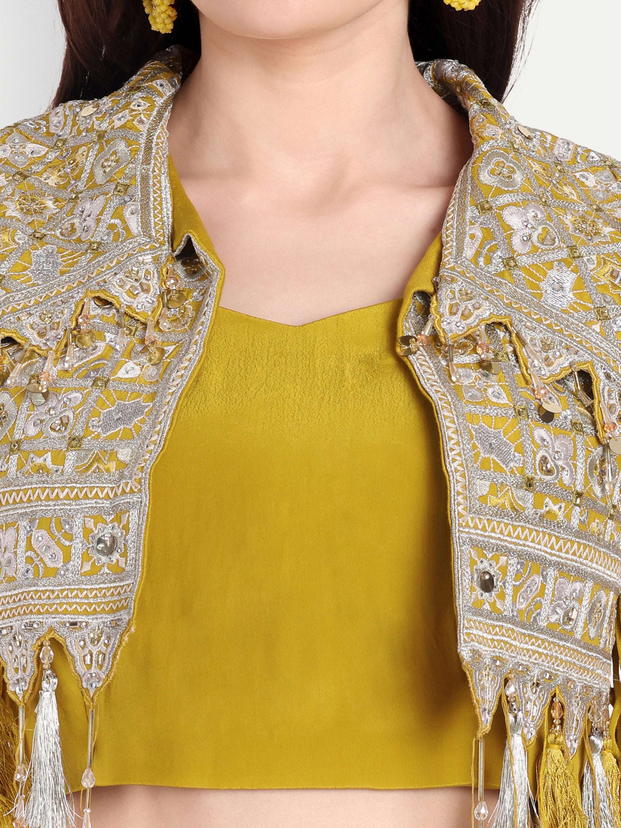 Zardozi work on crop Jacket with Tassel detailing