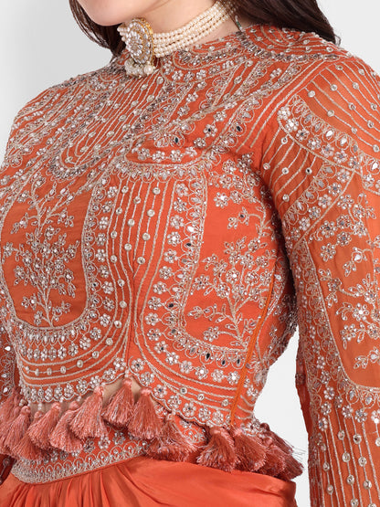 Stone work fully embroidered long sleeves blouse 